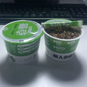 hierba para gatos, hierba para gatos en maceta, hierba para gatos, hierba para gatos