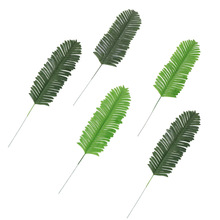 仿真人造铁树叶 植物墙插花配件装饰假叶子 胡萝卜猫爬架装饰叶子
