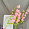 Fuchsia, orchid