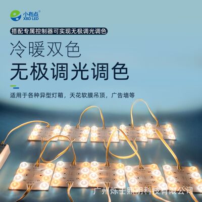Умная двухцветная светодиодная маска для лица, источник света, прямые продажи с завода, 24v