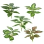 仿真叶子植物手感胶绿植