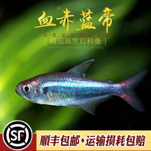 �tβ�����{��Ѫ������m���{������Ѫ������{��С�ͻ��wȺ�Ο��~