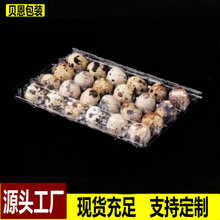 厂家直销24枚鹌鹑蛋盒一次性透明塑料鸡蛋鸭蛋包装盒防震水晶蛋托