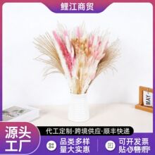 ���N��Ȕ��С�JȔ�ɻ���β��С���m�羳��؛�����ɻ�����������