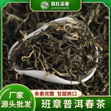 2025年班章普洱春茶 路氏茶业茶厂茶叶批发云南勐海普洱老茶散茶