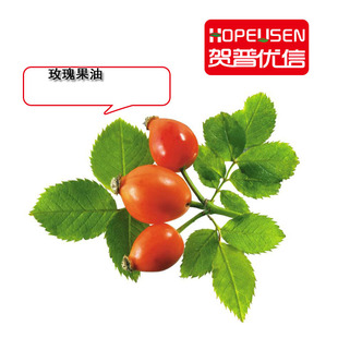 ���mõ�����  �����Nޱ���� ROSA  CANINA ���Rʿ��õ�廨��