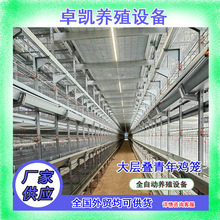 育雏鸡笼养殖设备育雏养鸡笼定制可供外贸自动喂料清粪背负喂料机