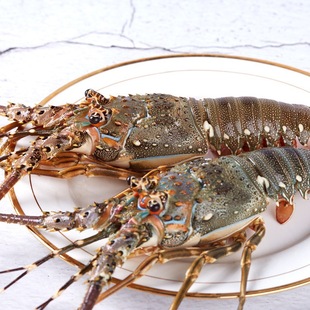 ���С�����|ɽ�u���r�����ش���޴����rһ��Խ���������rˮ�a