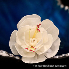 Dried Common Grass Flower DIY Aroma Diffuser Accessories Vine Household Indoor Empty Bottle Ornament Diffuser Fiber Rod