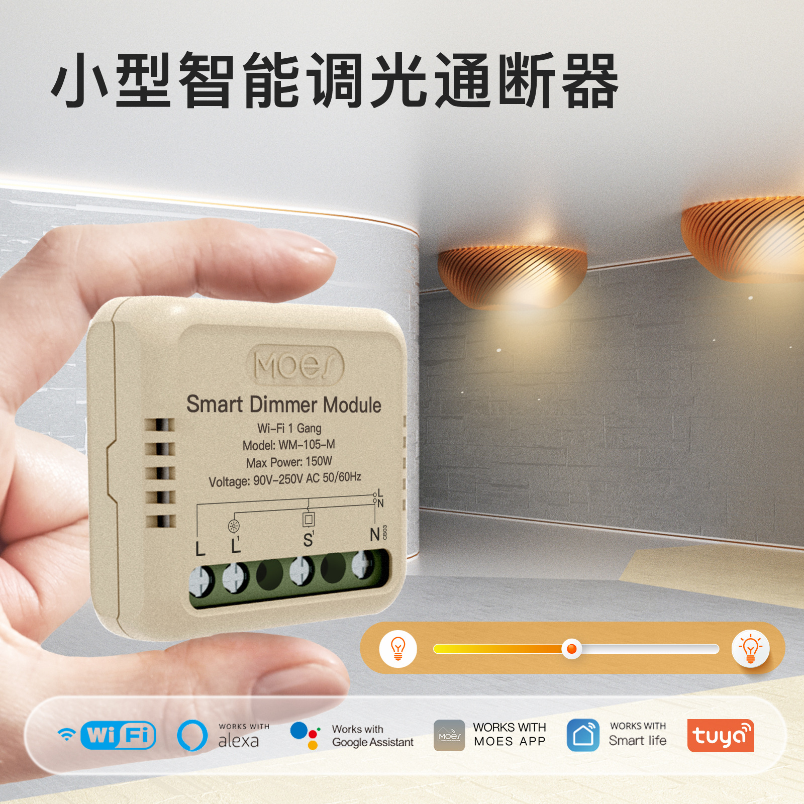 WiFi Doodle Smart Home Dimmer Switch Toggle App Remote Timer Voice Smart Switch Module