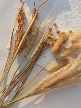 �옷��������β�ݸɻ������zӰ�[���Ĕz���յ��߱����b[���Ʒ