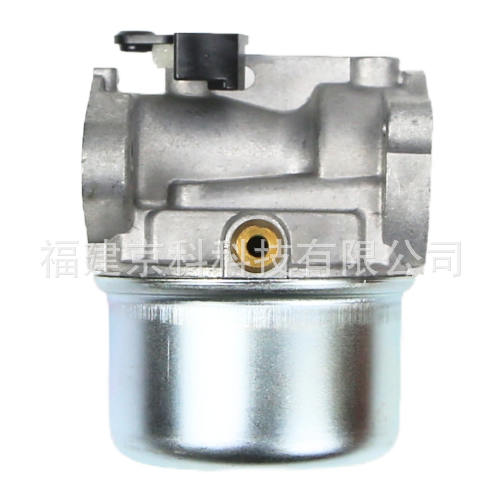 799868 Is Suitable for Briggs&Stratton 497586 498254 498170 497314 Carburetor