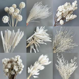 ���߿羳���lins�L�Ҿ�ܛ�b��Y�������� ��β���b���ɫ������