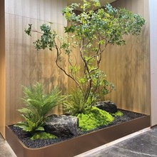 �R���҃ȾGֲ���;��^�쾰����ֲ�ﺆ�s�����٘��Ř��b�������