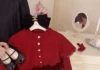 Red bucket seam [soft]