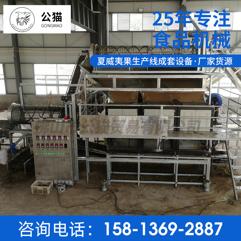 厂家供应流水线夏威夷果成套生产线设备夏威夷果生产全自动机器