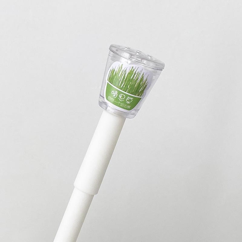 168 화이트폴-칭시잔디