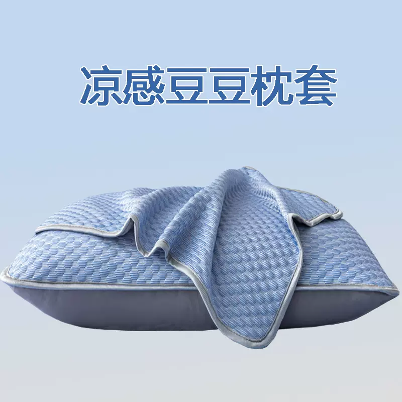 夏季可水洗冰丝豆豆隔脏枕套48x74学生宿舍家用枕头套枕芯保护套