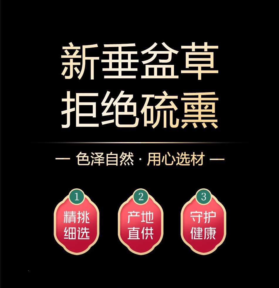 Dried Sedum Herb Chui Pen Cao 50g Bottle Fresh Batch Sedum sarmentosum for Herbal Tea and Decoction overview