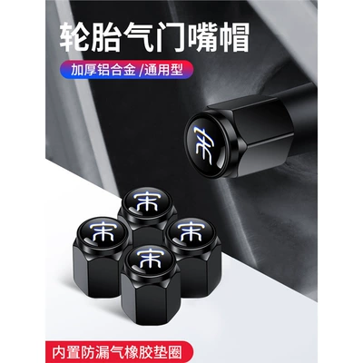 valve Pro Valve Cap Song