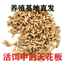 ��ˮ���x�~�D�N���T�D����~���D����x�t�x�ߵ������Ұ�ͨ��