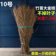 ��֦�Ӓ߰��������~����֦������l�߰��^�������^�l�b[���ֹ�