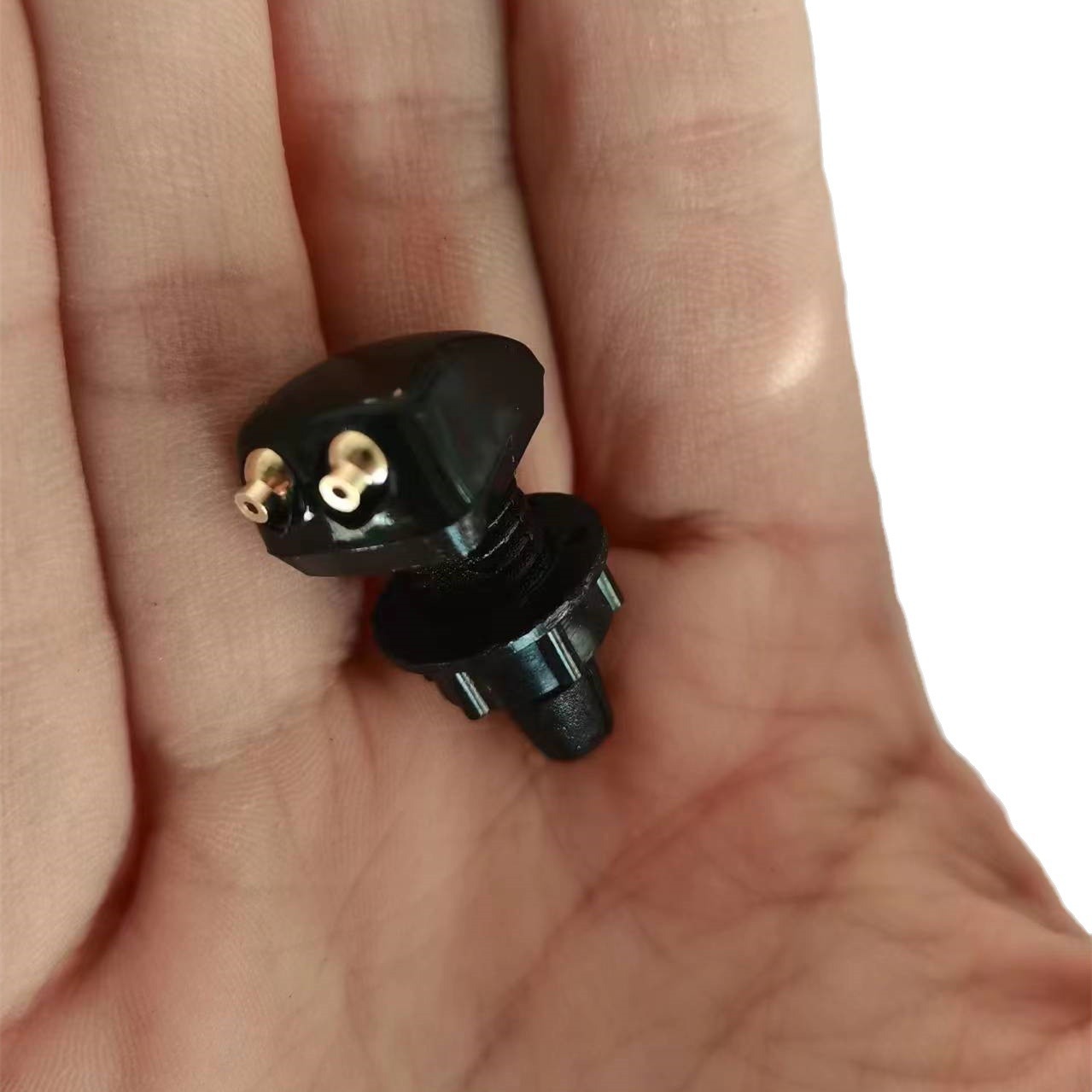 2024-03-30 07:21:50.jpg