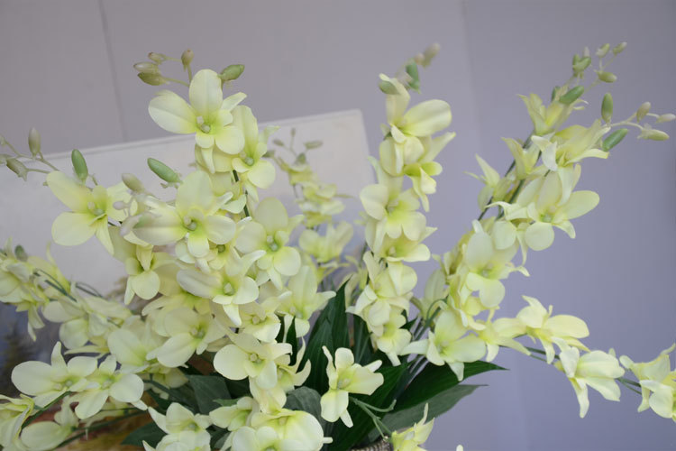 TB2vbwXiFXXXXc9XXXXXXXXXXXX_!!