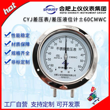 上仪CYJ型双波纹管差压液位计液氧液氮±60CMWC不锈钢差压表 6KPA