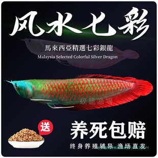 �߲��y���~���w���~��Ꭷ��ˮ�^�p�~�д�С���Lˮ�~�t���~�Ї�