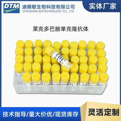 莱克多巴胺单克隆抗体 Ractopamine  Antibody无锡迪腾敏|ru