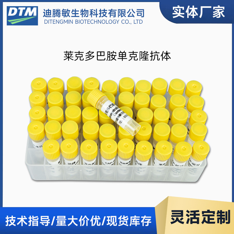 莱克多巴胺单克隆抗体 Ractopamine Antibody无锡迪腾敏|ru