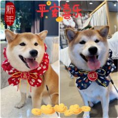 宠物新年围脖刺绣福旺富岁岁平安蝴蝶结猫咪中大狗口水巾春节头套