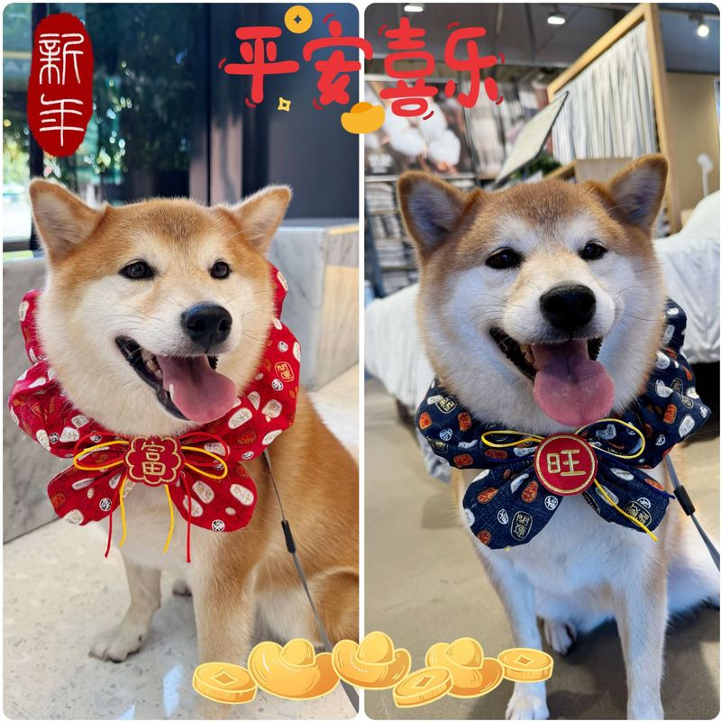 宠物新年围脖刺绣福旺富岁岁平安蝴蝶结猫咪中大狗口水巾春节头套|undefined