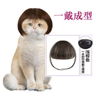 假发刘海仿真加厚发宠物头饰搞怪可爱抖音小红书同款狗狗小猫刘海-阿里巴巴