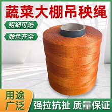 �����S�����t�������K�߲˶��ǵ��Ͼ������K݆̥���������K����K