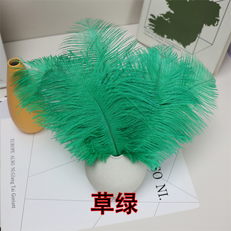 Plumas de avestruz bodas blancas de avestruz guía de plumas accesorios de fotos adornos rojo rosado en línea grandes plumas decoración