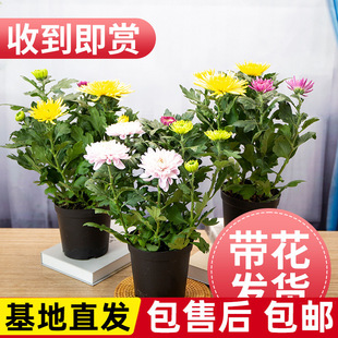 ��С�����Ԏ�����С�r���ļ��_���̨�҃��⻨�ܬ������ؾջ���