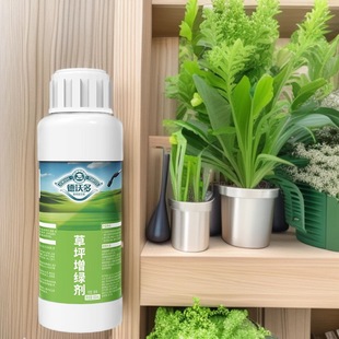 Devodo Fertilizer Lawn Greening Agent Greening Turf Plant Coloring Agent Wedding Carpet Turf Project One Spray Green