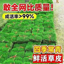 盆栽;花盆容器;盆景