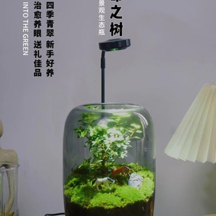 ����֮�����Bƿ����΢���^���������k���ҾGֲ��Ʒ�辰�N�ðl؛