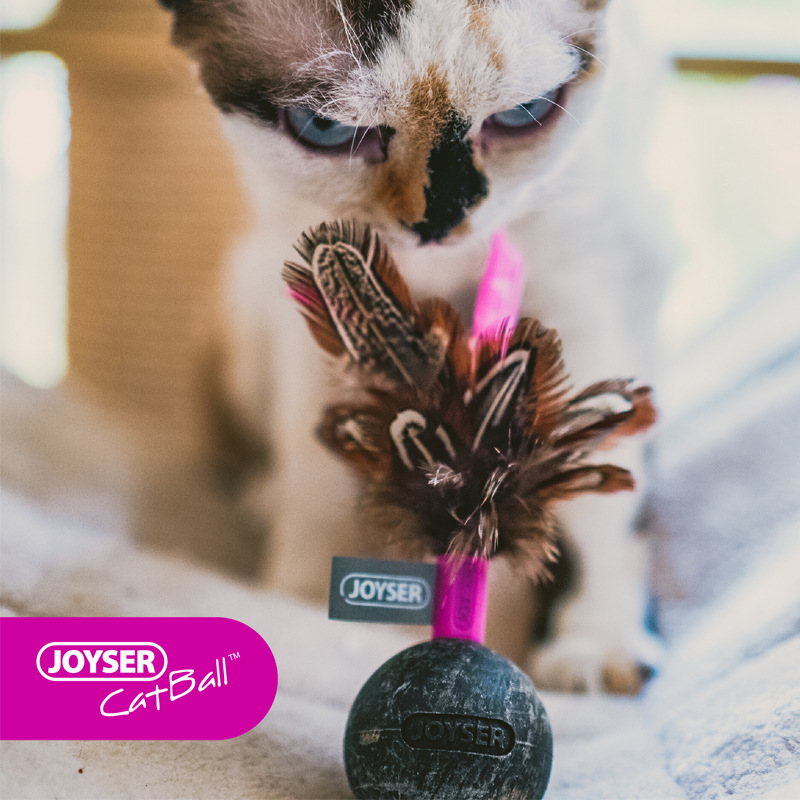 (2개) JOYSER 애완 동물 고양이 재미있는 스틱 개수 공 깃털 재미있는 고양이 장난감 교체 가능한 깃털 반지 재미있는 고양이