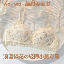 法式田园碎花蕾丝内衣女薄款无钢圈大胸显小胸聚拢防下垂文胸套装