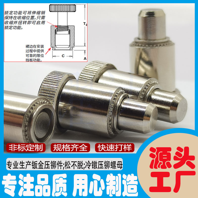 厂家供应弹簧伸缩销PT-56-61/PTL2-04-4不锈钢圆定位销弹簧销导销