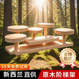 原木风置物架桌面化妆品手办收纳架实木多层阶梯陈列架摆件展示架