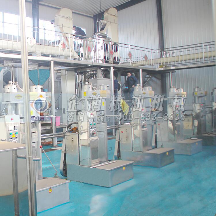 核桃仁压榨油设备，核桃油榨油机，核桃榨油精炼脱蜡设备生产厂家