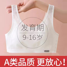 少女文胸初中生纯棉高中生发育期内衣女大童胸罩青春小背心背心式
