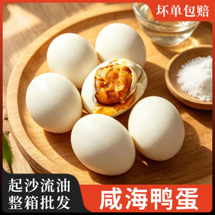��������������������� �캣������ʳ�̵��S����b �t�������}��