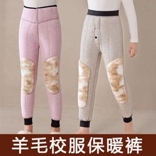 中大童保暖裤冬季加绒加厚儿童男童棉裤男孩羊毛打底高腰女童毛裤