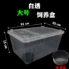 Large white transparent breeding box